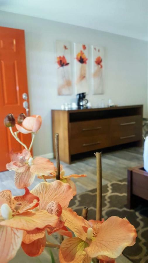 Hotel Quinta Arratz Villa de Juarez Zewnętrze zdjęcie